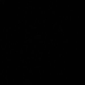 Meet your Posher, Owen